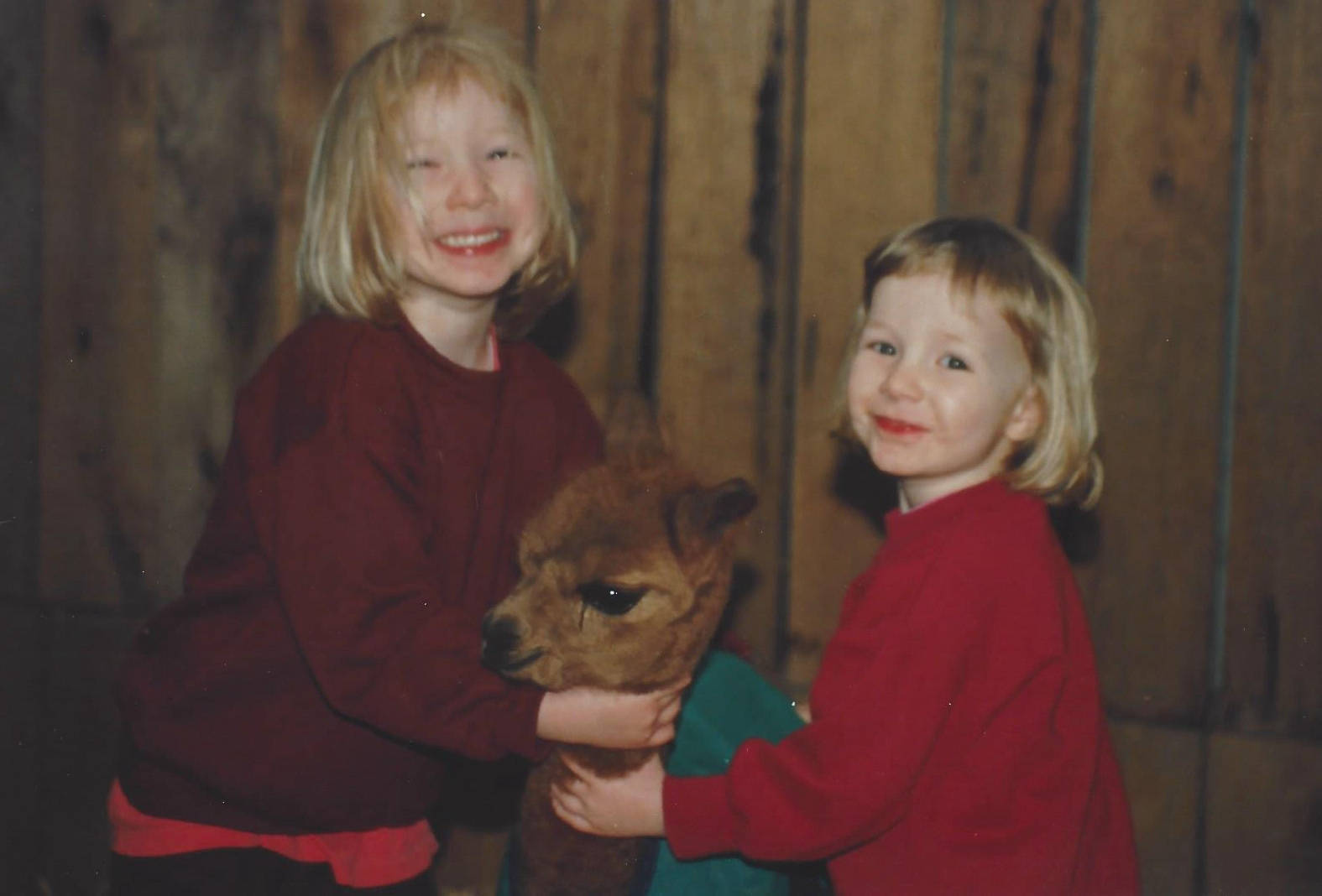 Glenavon Alpacas Cria