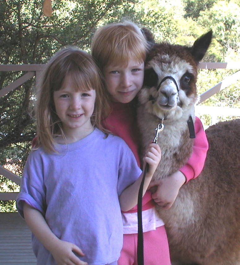 Glenavon Alpacas Ashleigh Jamie-Lee and Friend