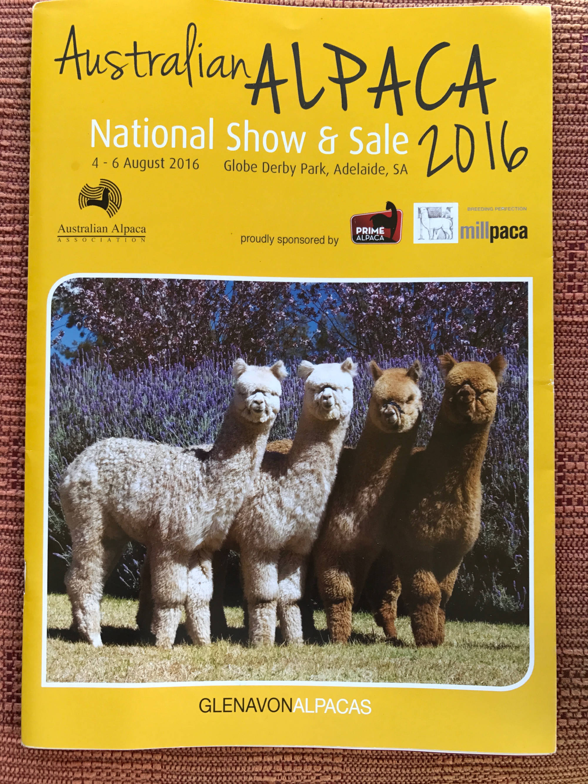 Glenavon Alpacas Progeny on Front Cover